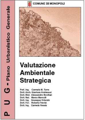 Fasi della VAS e relative forme di valutazione Analisi e valutazioni Valutazione di coerenza esterna Valutazione di coerenza interna Rapporto sullo stato dell ambiente