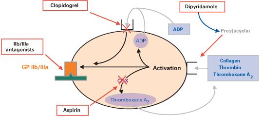 Antiaggreganti e anticoagulanti