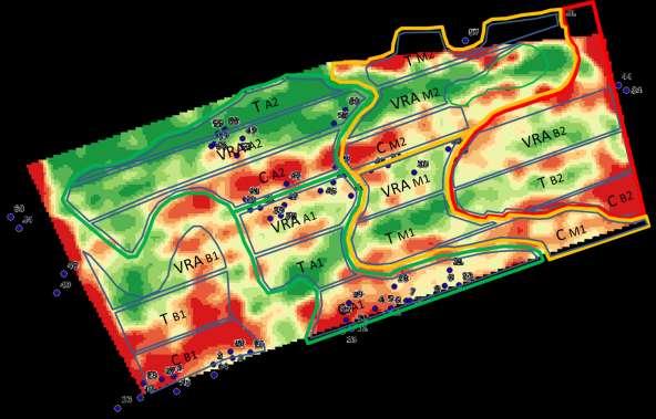 Mappa di vigore ad alta risoluzione ottenuta con il sensore di prossimità MECS-VINE (settembre 215). VRA Tradizionale Controllo AV 513. 541.4 474.2 MV 514.1 56. 486.