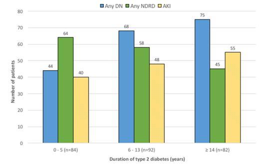 Number of patients Durata del diabete DN NDRD 0-5 (n=84) 6-13 (n=92) 14 (n=82)
