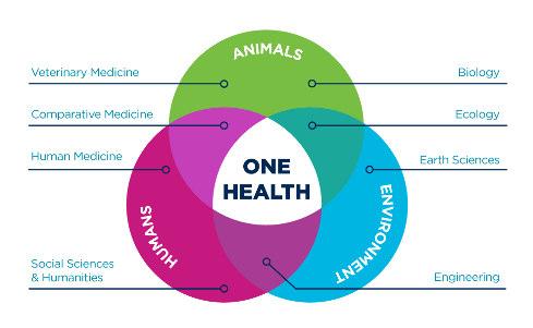 Attenzione alla sicurezza alimentare One health; Filiera alimentare; Emilcap ha certificato il sistema