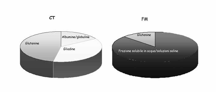 406 Marco gobbetti Fig. 3 Distribuzione percentuale delle frazioni proteiche estratte selettivamente da farina di grano tenero.