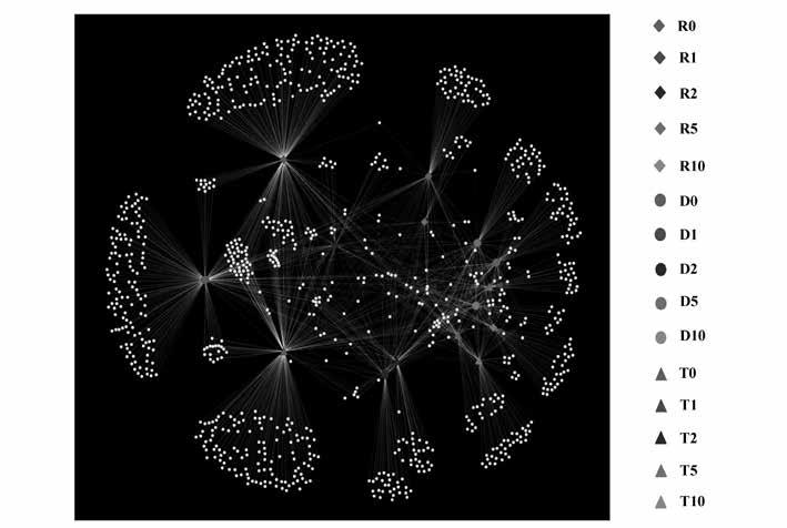 402 Marco gobbetti Fig. 1 Rappresentazione del network microbico durante la preparazione di lievito naturale basata su analisi di pirosequenziamento (RNA).