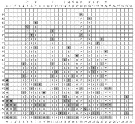 Metodi di scansione: hashing doppio La scansione lineare provoca effetti di agglomerazione, cioè lunghi gruppi di celle consecutive occupate che rallentano la scansione L hashing doppio riduce il