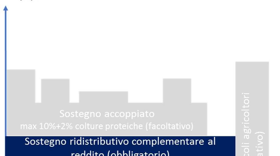 Sostegno ridistributivo complementare al reddito per la sostenibilità Il pagamento redistributivo è funzionale alle esigenze dell agricoltura italiana e lucana?