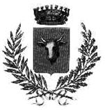 C O M U N E D I M AN Z AN O Provincia di Udine Servizio Lavori Pubblici - Manutenzione e Gestione del Patrimonio Comunale - Protezione Civile. tel.+39 0432/938.311 - fax +39 0432/938.