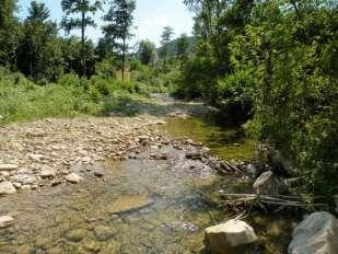 Torrente Tramazzo il