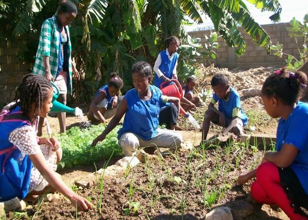 enlève les mauvais herbes Nous avons planté les