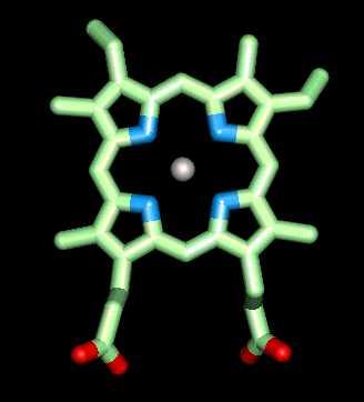 Il sito di legame dell ossigeo è l eme: gruppo prostetico Molecola altamete coiugata (aello porfiriico) resposabile del colore rosso Protoporfiria IX Il Fe2+ ha