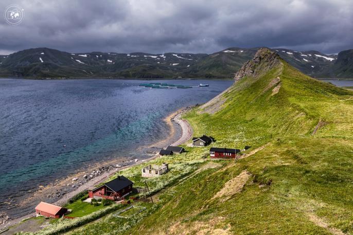 Visiteremo poi il pittoresco villaggio di Kamøyvær con il suo porticciolo di pescatori. Rientro a Honningsvåg e cena.