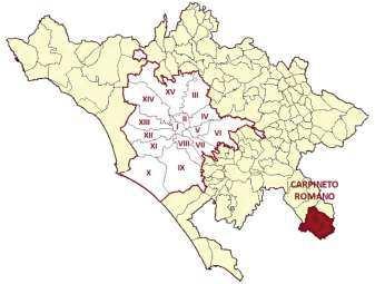 Carpineto Romano Superficie 8.629 Fascia demografica B Tipologia orografica Montagna Interna Centro per l impiego Colleferro/Lazio Sud Altitudine (metri slm) 550 Ambito territoriale scol.