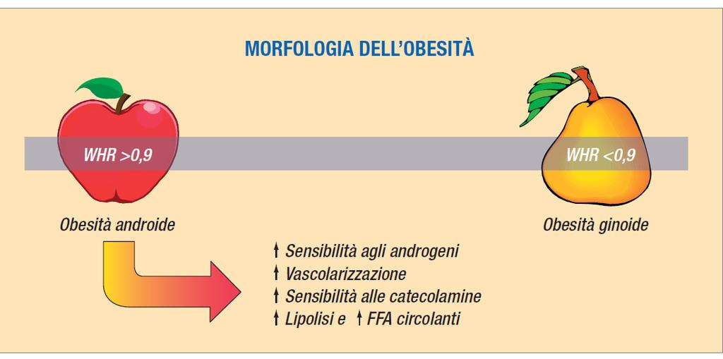 Morfologia dell