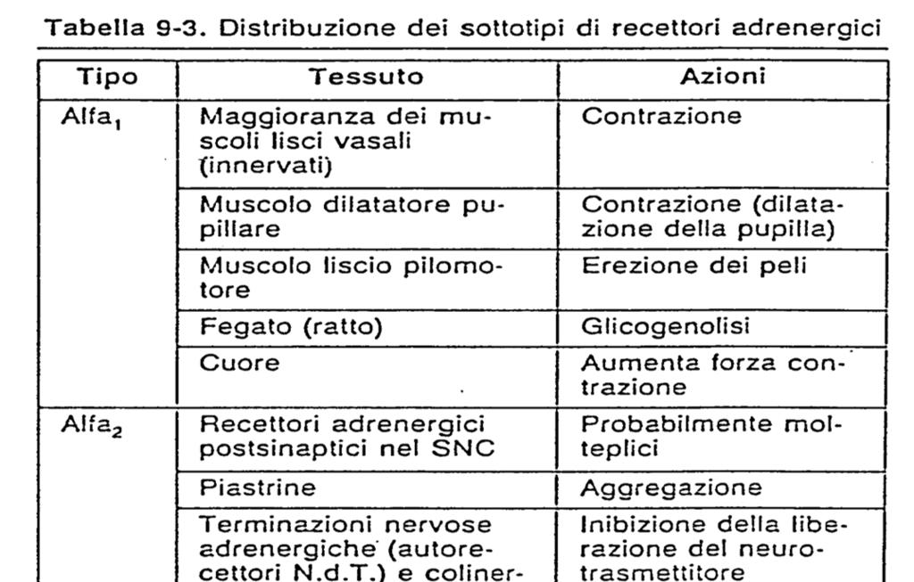 ANTAGONISTI