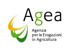 A G E A Agenzia per le erogazioni in agricoltura Progetto Miglioramento della Qualità della Produzione dell olio di iva ed impatto ambientale Associazione Produttori Ol