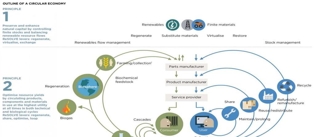 BIOECONOMIA ED ECONOMIA CIRCOLARE