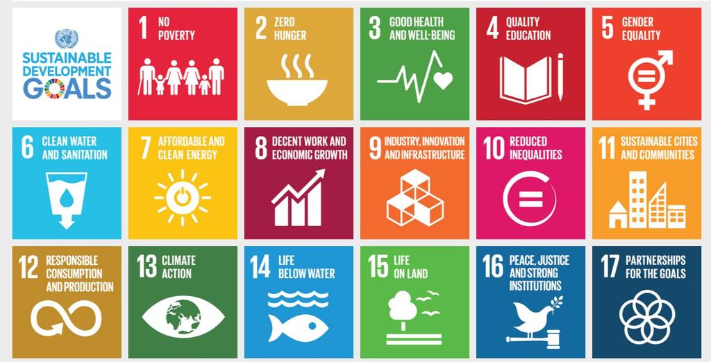 CONTESTO GLI SDGs e la