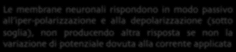 Relazione ohmica tra voltaggio e corrente 6 5 Potenziale soglia Corrente (na) 4 3 2 1 Le membrane neuronali rispondono in modo passivo all iper-polarizzazione e alla depolarizzazione (sotto soglia),