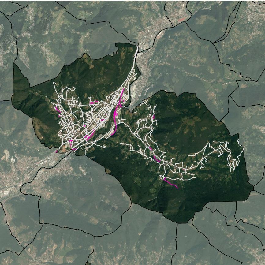 Comune di Albino (BG) Previsioni infrastrutturali Figura 84 Comune di Albino: Infrastrutture stradali esistenti e di progetto, scala 1:50.000.