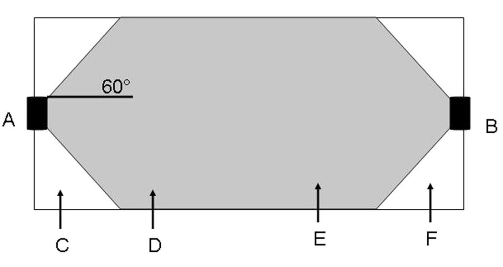 La bioimpedenza nella clinica del paziente uremico Fig. 1 - Angolo di cono e propagazione a 50 Hz dell impulso elettrico nel corpo umano.