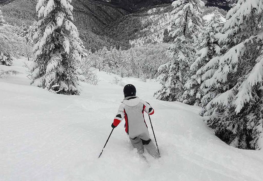 DICEMBRE Scendendo da Cima Pigna - loc. Lurisia - Roccaforte Mondovì (CN). Foto di Mauro Bertolino.