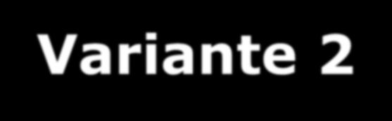 Variante 1 Variante 2 1. Operatori professionali certificati (1 o tutti) 2. Macchine-attrezzature 3. No gravi sanzioni/condanne 4.