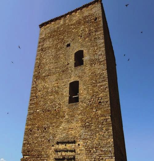 torre DESTINAZIONE Regione: Emilia Romagna Provincia: Modena Ambito: Suburbano LOCATION Posizione: Periferica Coordinate GPS: Lat. 44,43918, Long.