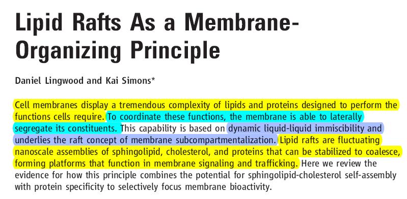 glicosfingolipidi che compartimentalizzano diversi processi cellulari.