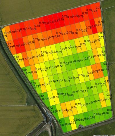 Rateo variabile NDVI CV =