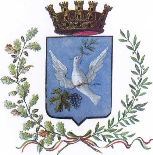COMUNE DI Thiene (Provincia di Vicenza) Approvato con Delibera del Consiglio Comunale n.140 del 28.04.