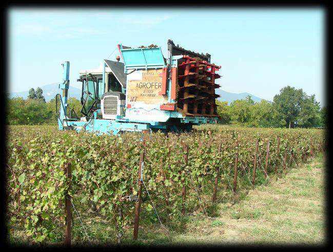 Prove di campo 2018 Le prove di campo