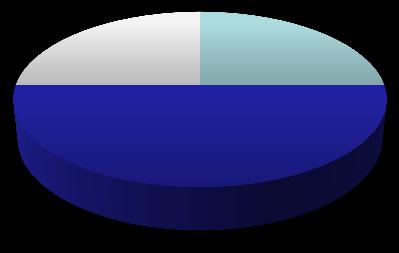 risultati 5% Compilazione del quaderno di laboratorio 5% 0% 5% 10% 15% 20% 25% Ti