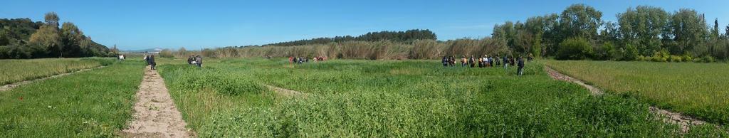 Campo sperimentale REFORMA a La Crucca (Sassari) Aprile 2014 Progetto REFORMA: Resilient water-