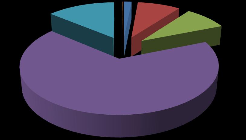 Operazioni di recupero dei rifiuti speciali in Sicilia 2012 R12 0% R10 14% R1 1% R3 9% R4 9% R5 67% Operazioni di smaltimento dei rifiuti speciali in Sicilia 2012 D10 2% D13 0% D14 0% D1 29% D9 59%