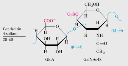 Cheratan solfati: no acidi uronici, cartilagine, ossa, strutture cornee di cellule morte (corna, unghie, artigli, ecc.).