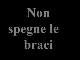 carbonica che si deposita sul combustibile raffreddandolo ed evaporando