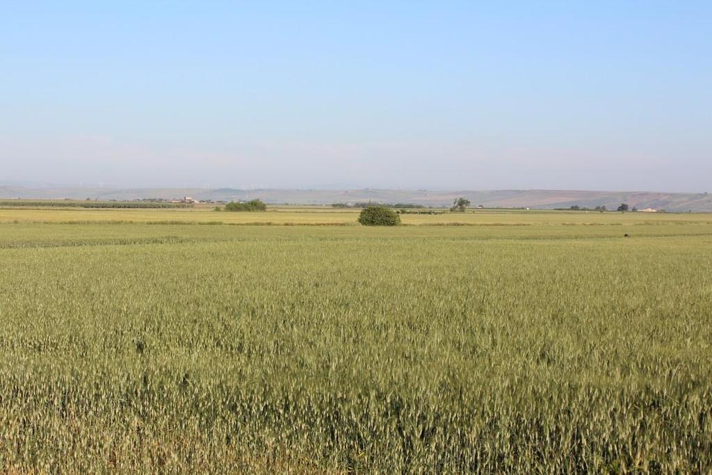 CARTA DELLE VOCAZIONI FAUNISTICHE DELL AMBITO TERRITORIALE DI CACCIA BARI/BT PARTE VI DISTRIBUZIONE E STATUS DELLE SPECIE DI INTERESSE