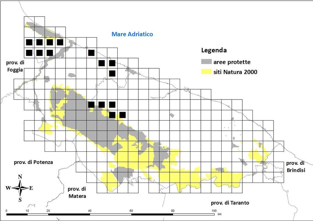 Distribuzione nell ATC Bari/BT La specie è presente in 16 celle (fig. 6.3), ovvero nel 6.1% dell area di studio.