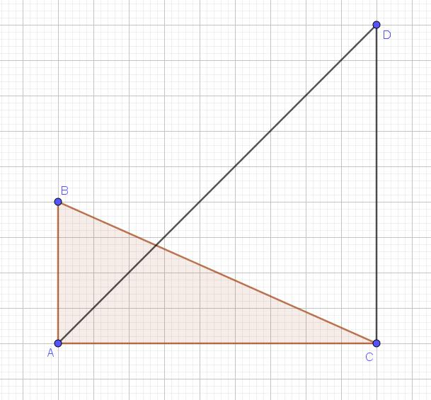 5b 2m Consideriamo il triangolo ABC rettangolo in A. Tracciare un segmento CD che risponda a queste caratteristiche: CD AC ; CD AC ; D appartiene allo stesso semipiano di B determinato dalla retta AC.