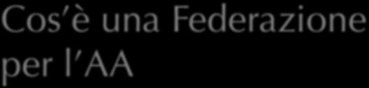 os è una Federazione per l AA È un insieme di regole tecniche e procedure condivise su cui si costruiscono