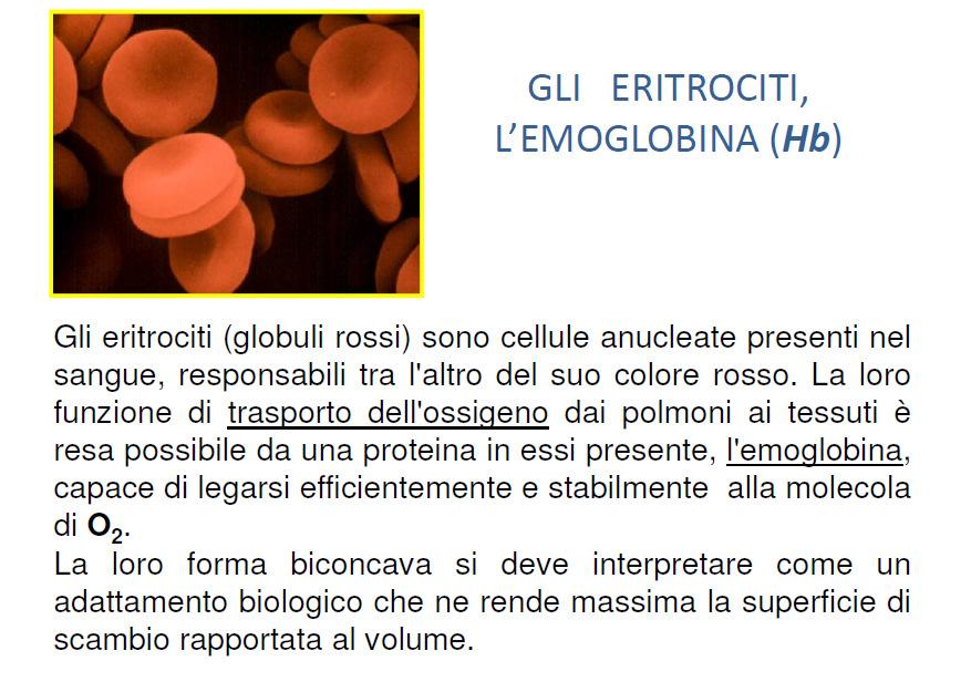 Effetti della Combustione