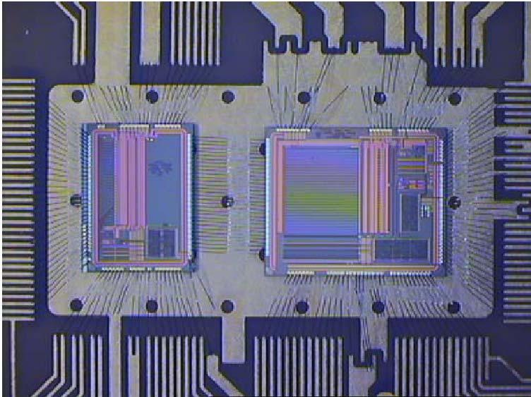 Silicon µstrips readout Pace3 chips (Grazie a CMS preshower!