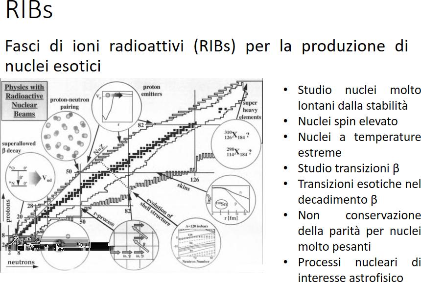 Fasci di