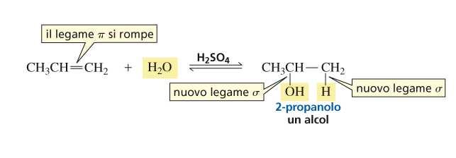 Idratazione Addizione Elettrofila di Acqua L idratazione è l addizione di acqua a un alchene con