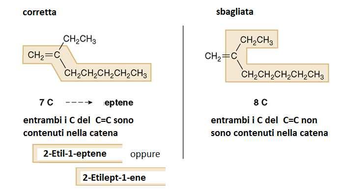 La catena più lunga deve contenere per intero il doppio legame!