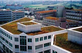 Inverdimenti estensivi Sono i tetti verdi che richiedono poca manutenzione e realizzati con lo scopo di ottenere prestazioni ecologiche ed economiche.