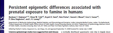 Effetti di deprivazione alimentare in utero Gli individui esposti in epoca prenatale alla carestia, rispetto ai loro fratelli dello stesso sesso mostrarono, a distanza di 60 anni, una ipometilazione