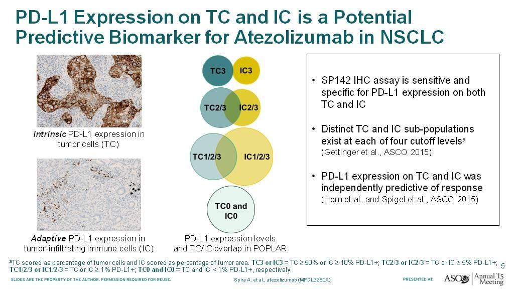 PD-L1 Expression on TC and IC is a Potential Predictive Biomarker for