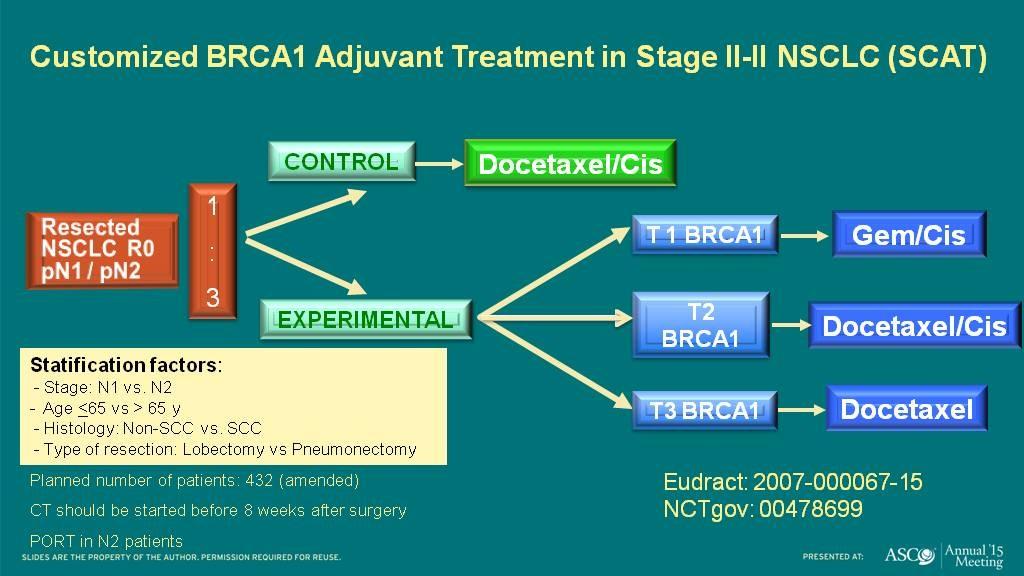 Customized BRCA1 Adjuvant Treatment in Stage II-II NSCLC