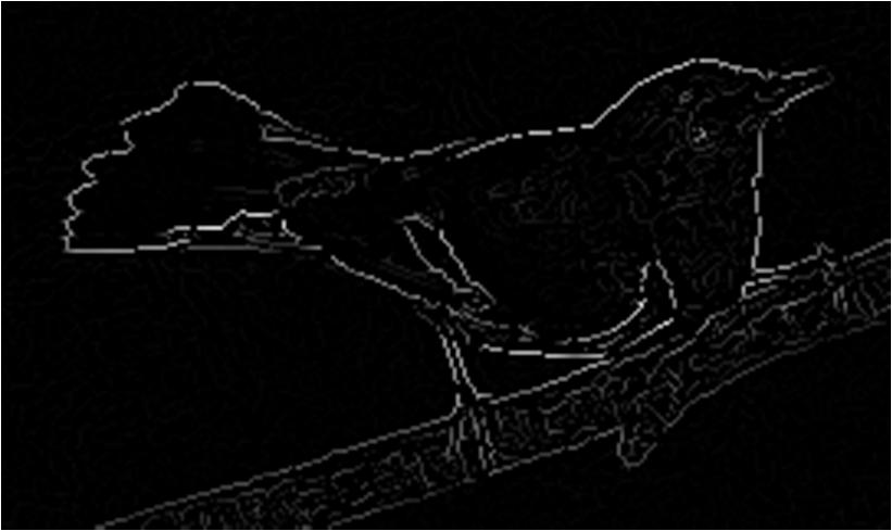 CANNY EDGE DETECTOR/LINKER HYSTERESIS THRESHOLDING Basato su una doppia soglia: A partire da ogni pixel al di sopra della