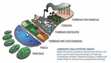 IMPRONTA ECOLOGICA Quanto pesiamo sull ambiente?